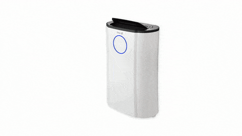 dehumidifiers, moisture, humidity, mold, mildew, dampness, air quality, comfort, home, basement, crawl space, moisture control, dehumidifying, moisture control, humidity control, indoor air quality, dampness, damp, moisture removal, excess moisture, excess humidity, condensation control, mold prevention, mold control, air quality improvement, moisture management, humidity reduction, moisture elimination 