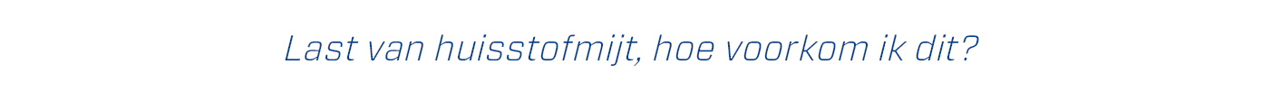 huisstofmijt