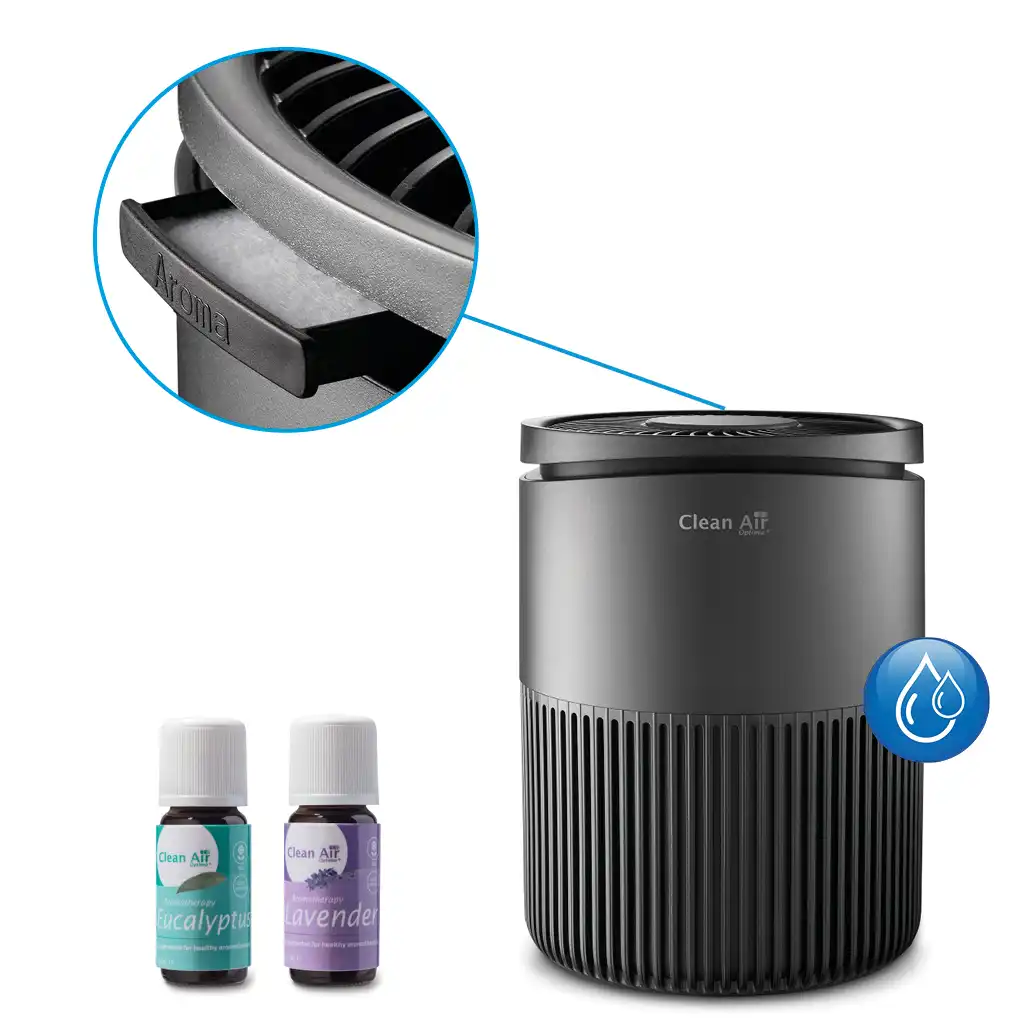 air purifiers, HEPA filter, dust, allergens, pollutants, asthma, respiratory, home air quality, portable air cleaner, air filtration, UV-C light, ozone, smoke, odors, pet dander, mold, bacteria, air sanitizer, air freshener, home air purifier, air purification, air cleaner, air cleaning, air purifying 