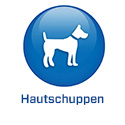 2022 - COM - DE 2022 - BS5.6 - Huidschilfers (.com)