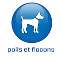 2022 - COM FR - BS5.6 - Huidschilfers (.com)