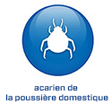 2022 - COM FR - BS5.8 - Huisstofmijt (.com)