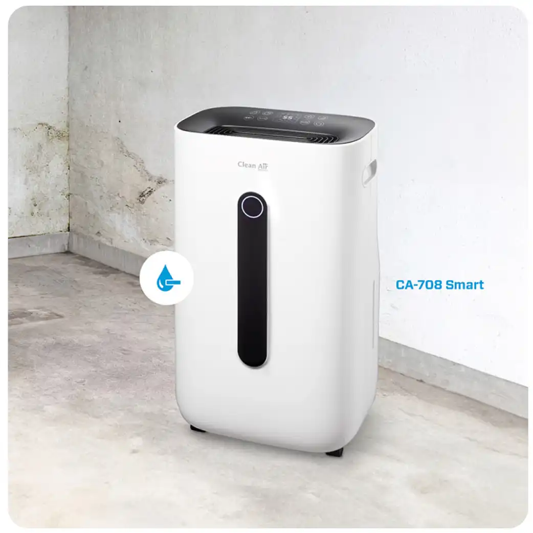 dehumidifier basement