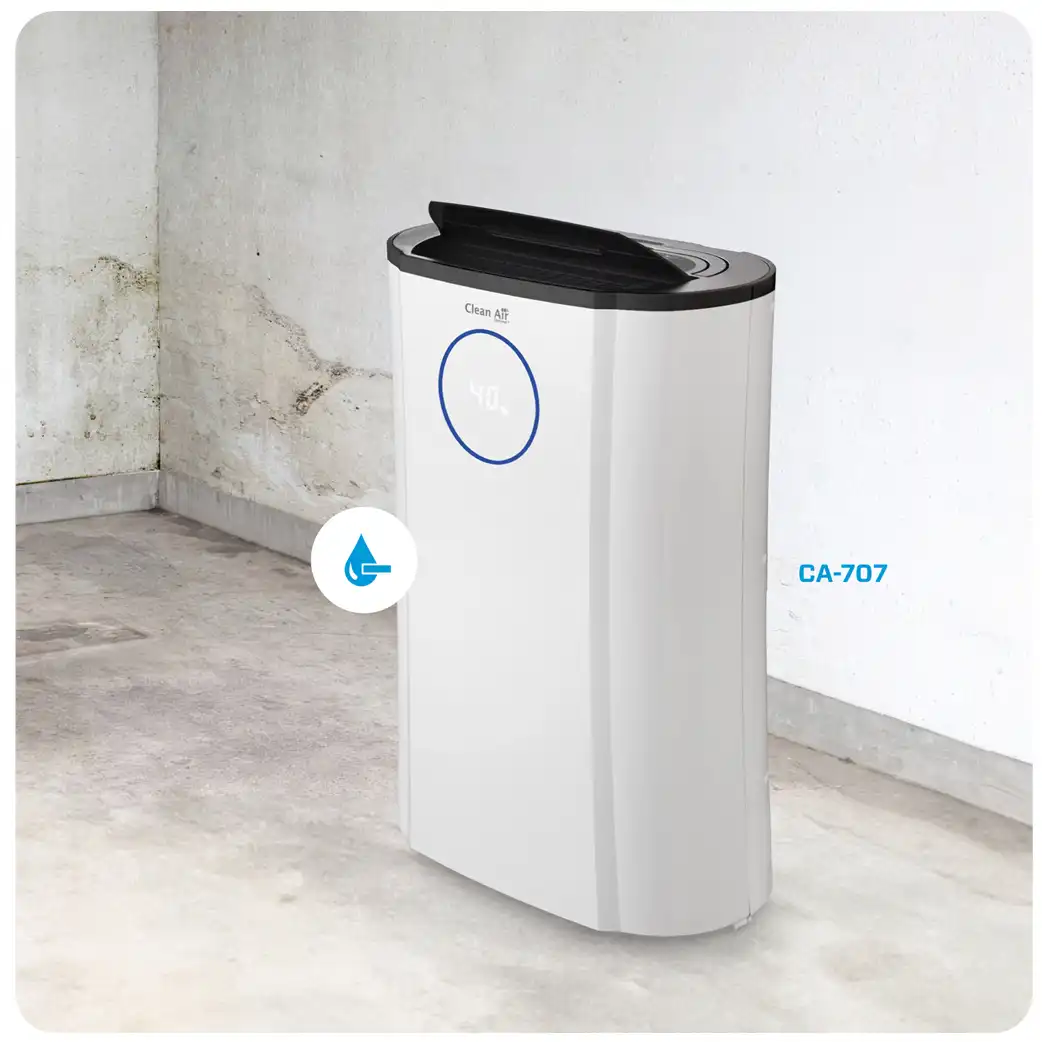 best dehumidifier basement