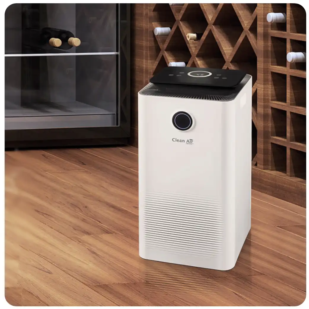 dehumidifier basement maintenance