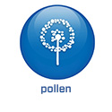 2022 - COM FR 2022 - BS5.4 - Pollen (.com)