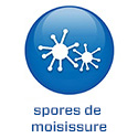 2022 - COM FR - BS5.7 - Schimmelsporen (.com)